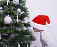 inspect tree
