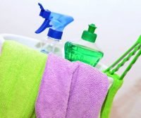 eliminate pests