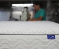bed bug proof
