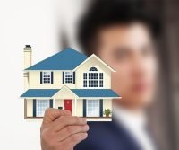 property pest control