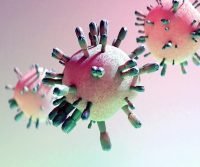 pests carry diseases
